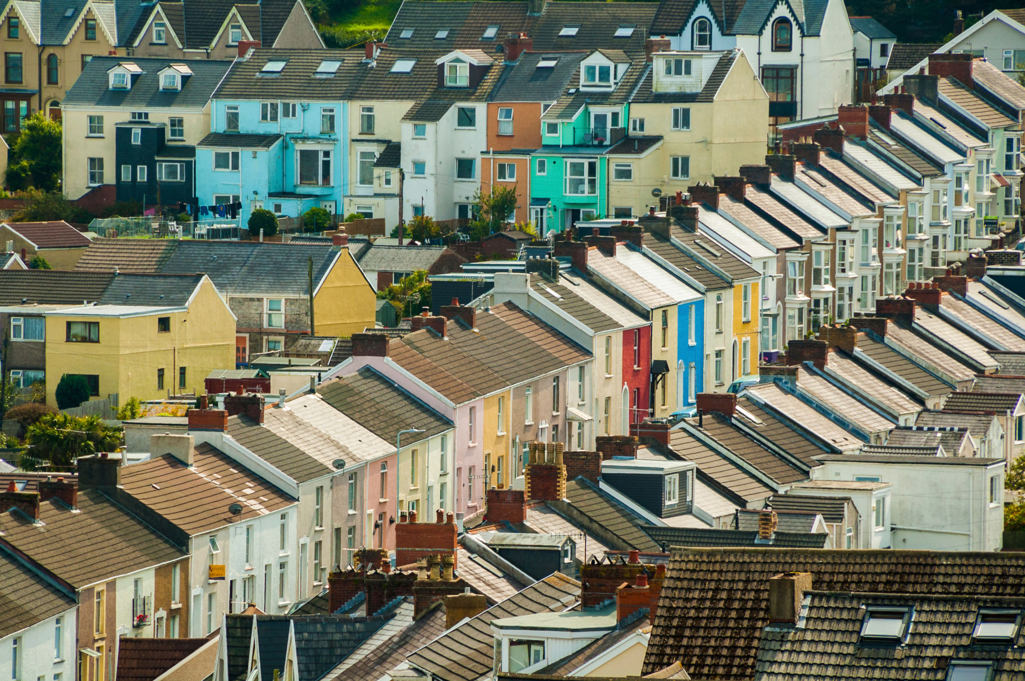 swansea neighborhoods