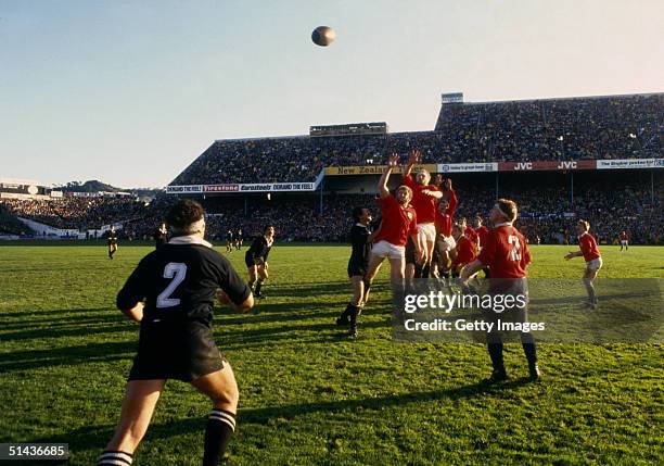 Andy Haden of New Zealand throws the ball in at a lineout during the second test match between New Zealand and the British Lions at Athletic Park on...