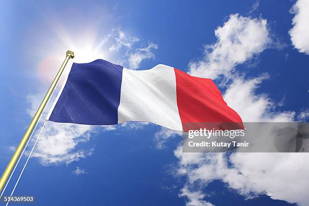 flag of france - bandera francesa fotografías e imágenes de stock