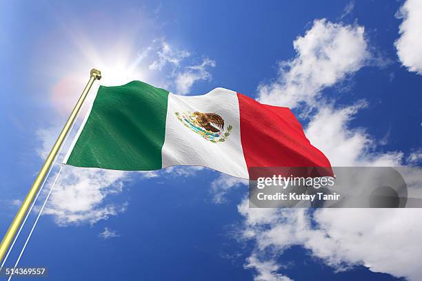 flag of mexico - mexican flag 個照片及圖片檔