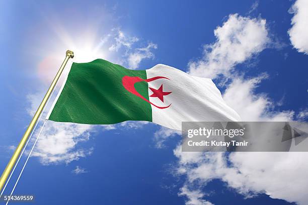 flag of algeria - algeria stock pictures, royalty-free photos & images