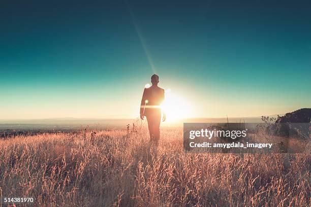 man sun business suit nature landscape - man walking silhouette stock pictures, royalty-free photos & images