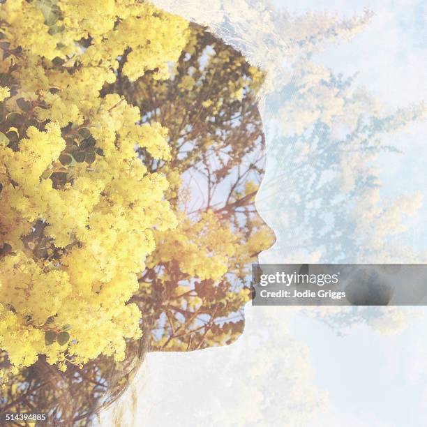 multiple exposure portrait of young girl & nature - acacia flowers stock pictures, royalty-free photos & images