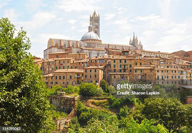 medieval houses and the siena cathedral - senna stock pictures, royalty-free photos & images