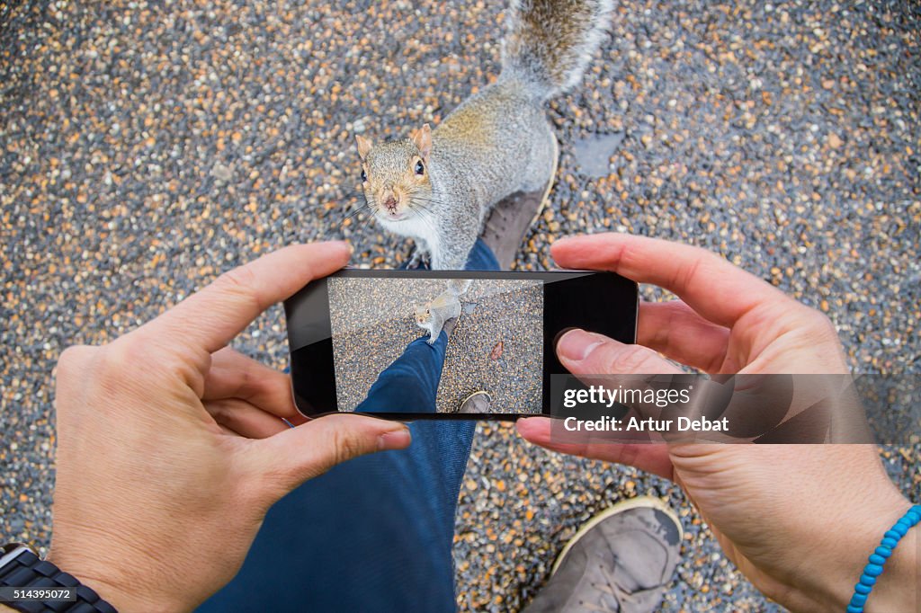 Traveller man taking pictures with smartphone from personal point of view of his legs with squirrels in the London parks.