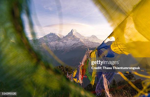annapurna with buddha flag - tibet stock pictures, royalty-free photos & images