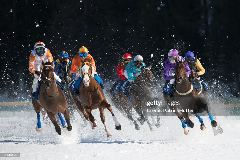 White Turf St. Moritz