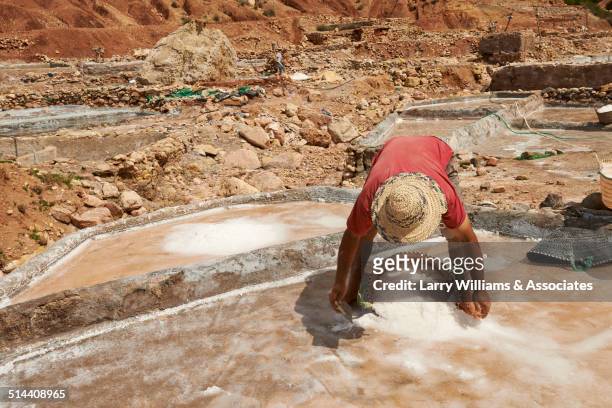 worker scooping sand in quarry - gold waschen stock-fotos und bilder