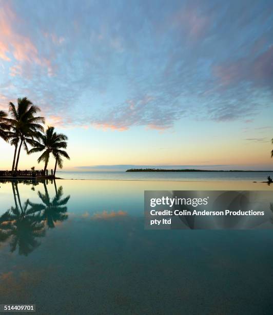 palm trees and sunset reflected in still ocean, denarau island west, nadi, fiji - nadi foto e immagini stock
