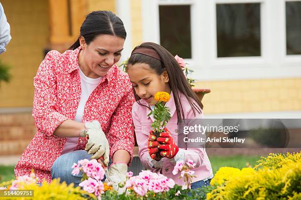 hispanic mother and daughter gardening together - family flowers stock pictures, royalty-free photos & images