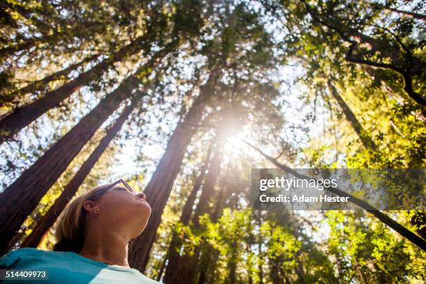 caucasian woman standing in sunny forest - baum von unten stock-fotos und bilder