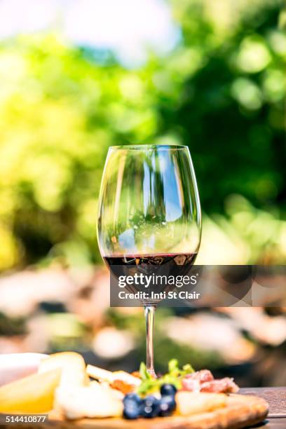 glass of wine with cheese and meat board - vinho tinto imagens e fotografias de stock