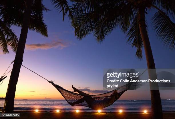 silhouette of caucasian woman relaxing in hammock at sunset - fiji stock pictures, royalty-free photos & images