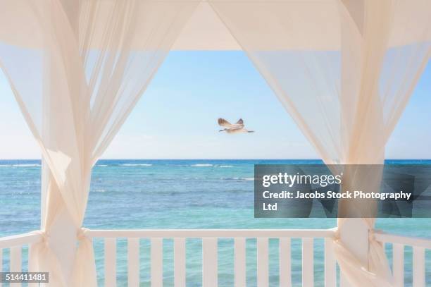 bird flying over ocean viewed from balcony - cancun beautiful stock pictures, royalty-free photos & images