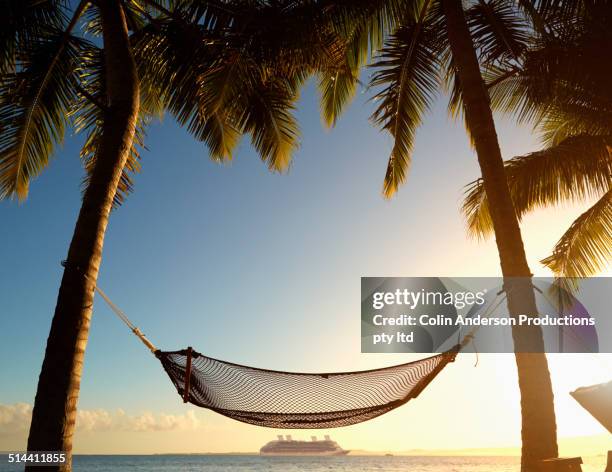 hammock hanging between palm trees on tropical beach - cruise vacation stock-fotos und bilder