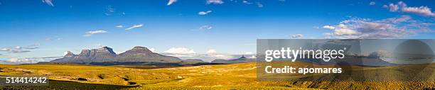 panoramic view of tepuys from mirador oso la gran sabana. - mt roraima stock pictures, royalty-free photos & images