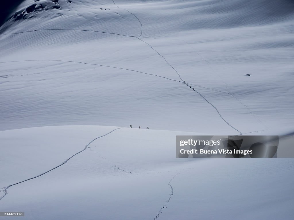 Climbing teams on a glacier