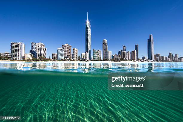 city skyline, surfers paradise, gold coast, queensland, australia - gold coast queensland stock-fotos und bilder