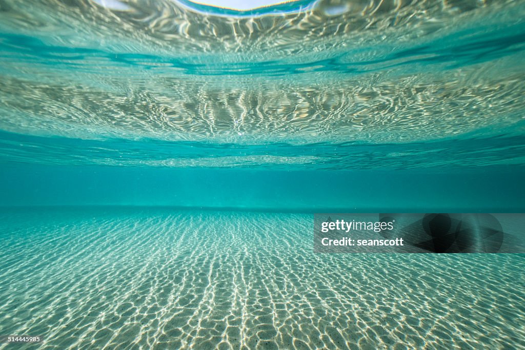 Underwater view of ocean