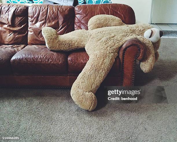 stuffed teddy bear laying on couch - real life funny stock pictures, royalty-free photos & images
