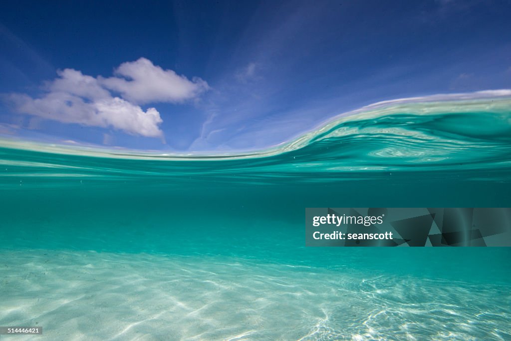 Split level view of ocean