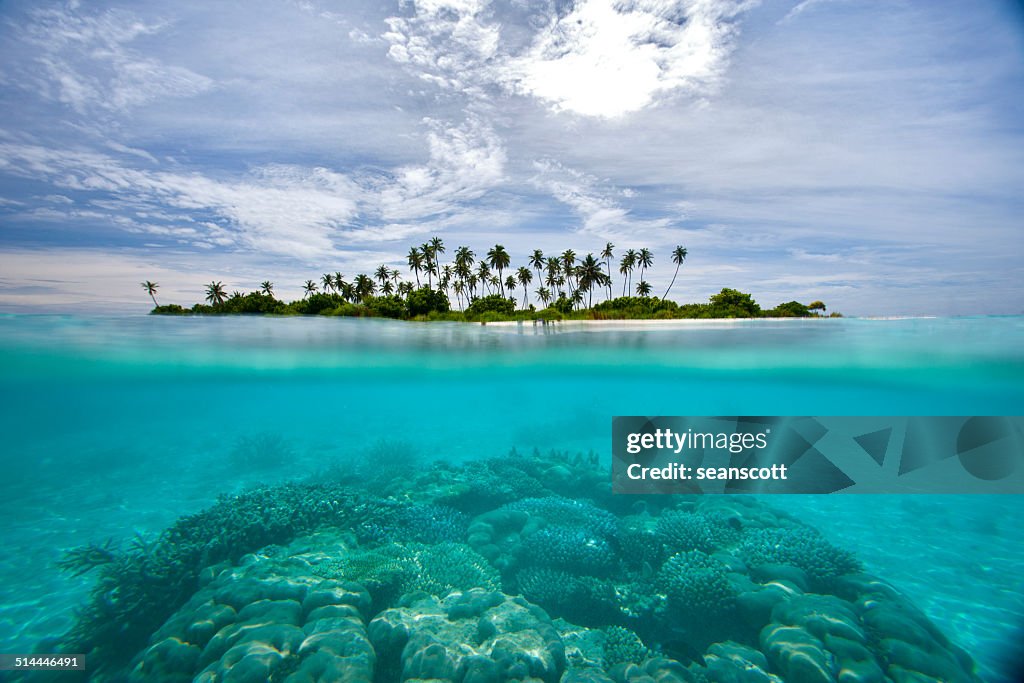 Tropical island, Maldives