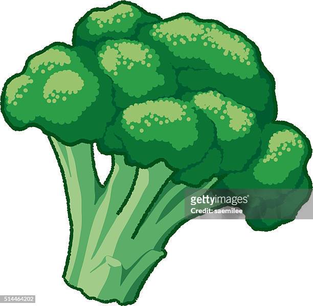 illustrazioni stock, clip art, cartoni animati e icone di tendenza di broccolo - broccolo