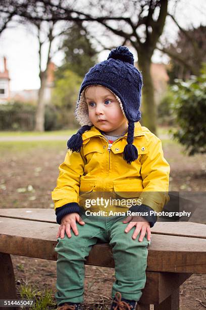 sitting down - eenjarig plantenkenmerk stockfoto's en -beelden