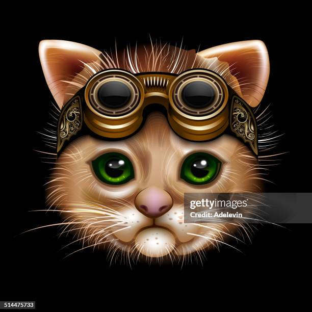 steampunk katzengesicht - cat face mask stock-grafiken, -clipart, -cartoons und -symbole