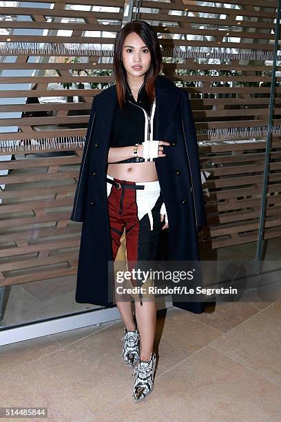 Singer Rainie Yang attends the Louis Vuitton show as part of the Paris Fashion Week Womenswear Fall/Winter 2016/2017. Held at Louis Vuitton...