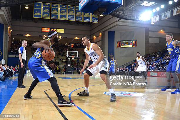 Baron Davis of the Delaware 87ers dribbles the ball against the Iowa Energy on March 4, 2016 at the Bob Carpenter Center in Newark, Delaware. NOTE TO...