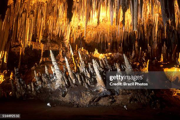 Among the many stalagmites, there is a group known as the coconut palms - their unnatural tilt resembes a group of wind-bent palm tress - the...