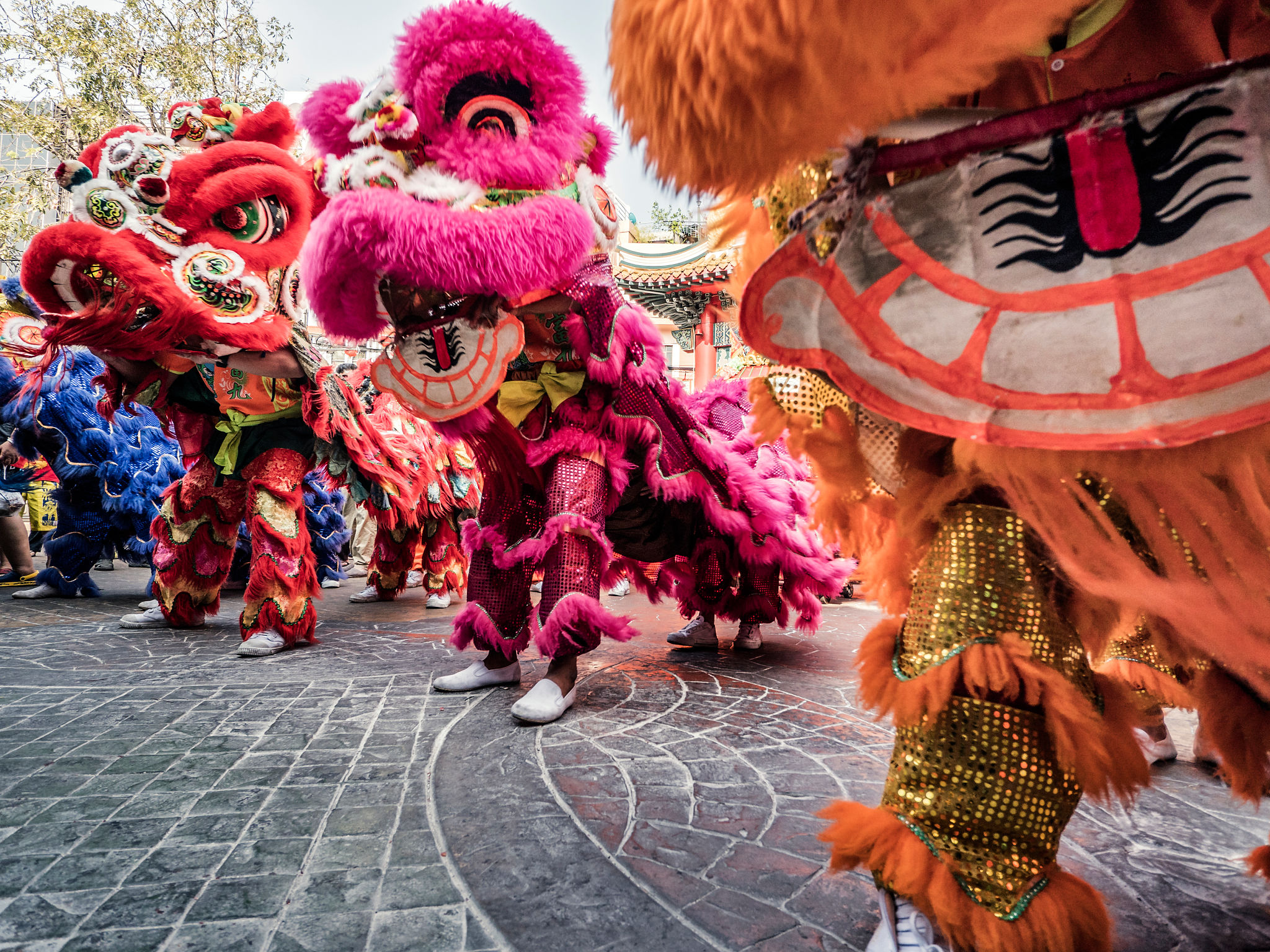 cultural parade