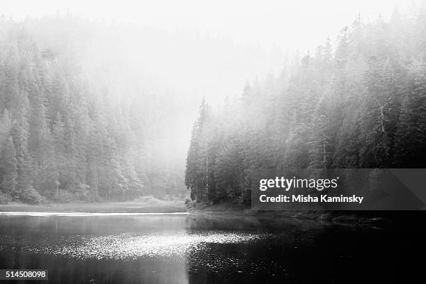 mountain lake - foggy forest stock pictures, royalty-free photos & images