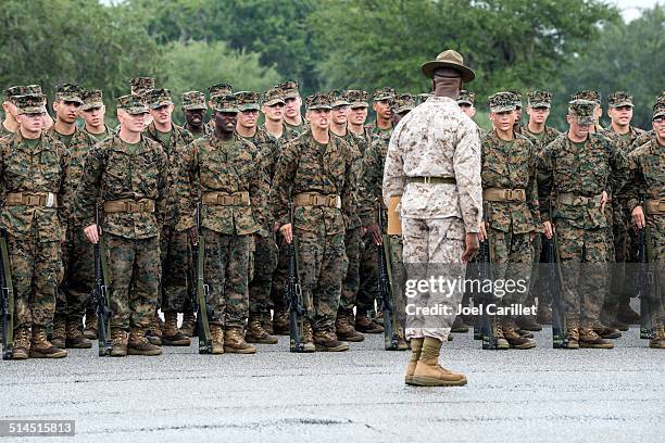 formação de base em parris island - treino militar imagens e fotografias de stock