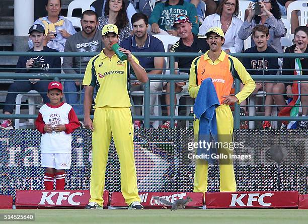 Squirrel runs on the field of play during the 3rd KFC T20 International match between South Africa and Australia at PPC Newlands on March 09, 2016 in...