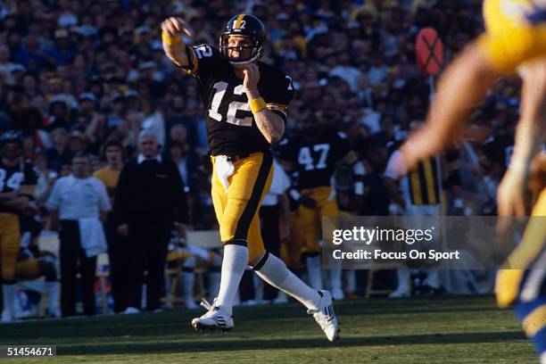 Steelers Roses Rose Bradshaw Photos and Premium High Res Pictures - Getty Images