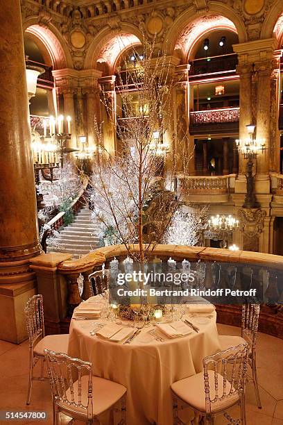 Illustration View of Arop Charity Gala At the Opera Garnier under the auspices of Madam Maryvonne Pinault on March 9, 2016 in Paris, France.