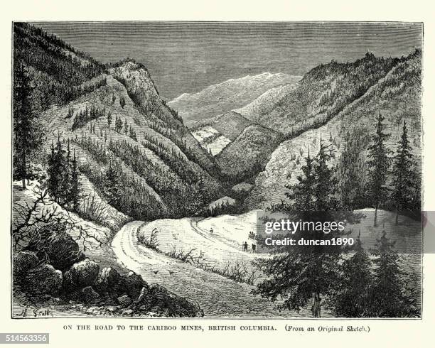 on the road to the cariboo mines, british columba - cariboo stock illustrations