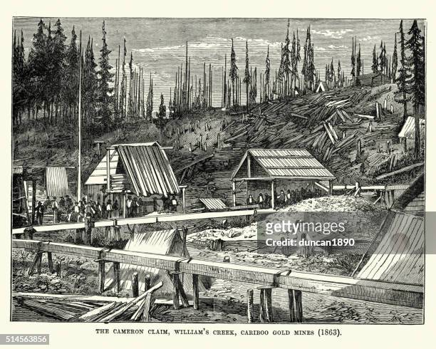 stockillustraties, clipart, cartoons en iconen met cariboo gold mine, british columbia, 1863 - cariboo