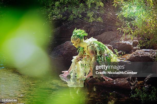 water nymph gently touching a woods stream - pixie stock pictures, royalty-free photos & images