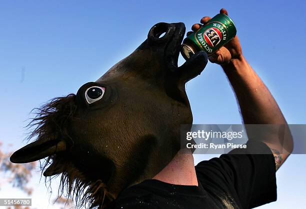 v8 supercars - bathurst 1000 qualifying - horse head stock pictures, royalty-free photos & images