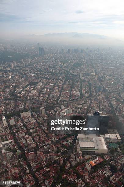 cidade do méxico - cidade do méxico 個照片及圖片檔