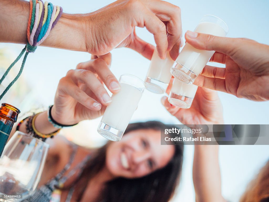 Group of friends making a toast