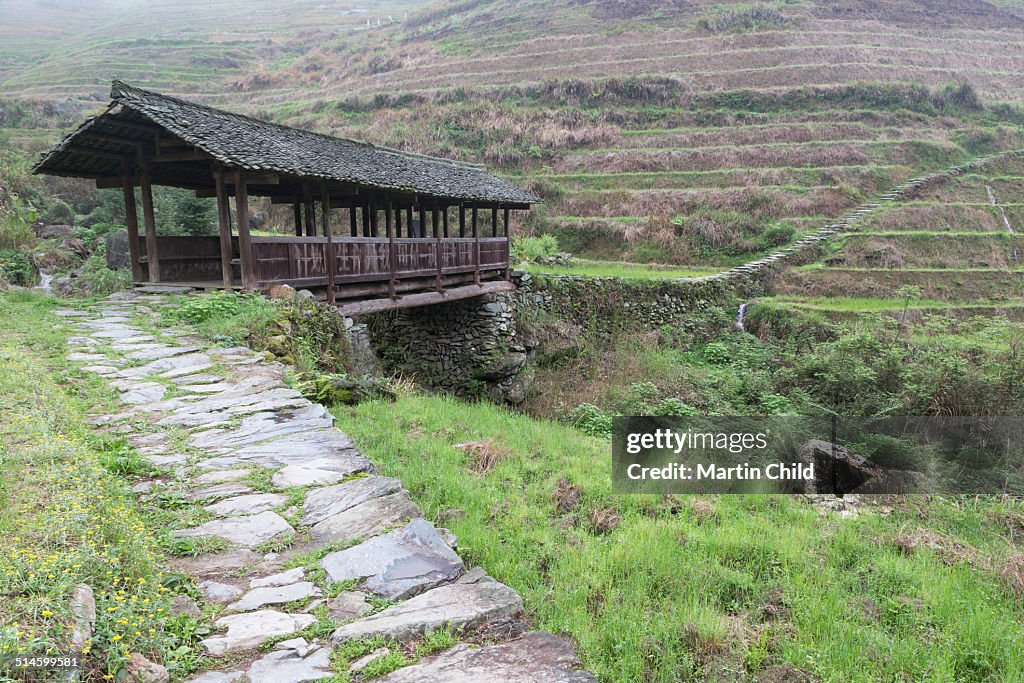 Wooden bridge in rice terraces