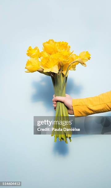 pastel spring - hand holding flower stock-fotos und bilder