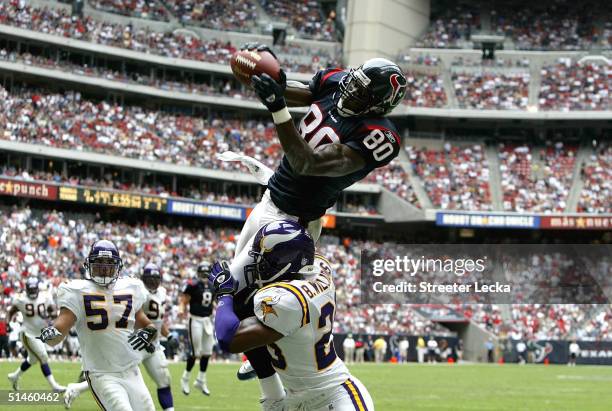 Andre Johnson of the Houston Texans catches a touchdown as Brian Williams of the Minnesota Vikings tries to make the tackle during their game on...