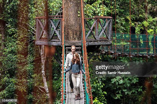 Prince William, Duke of Cambride and Catherine, Duchess of Cambridge abseil in the rainforest in Danum Valley Research Center in Danum Valley on the...