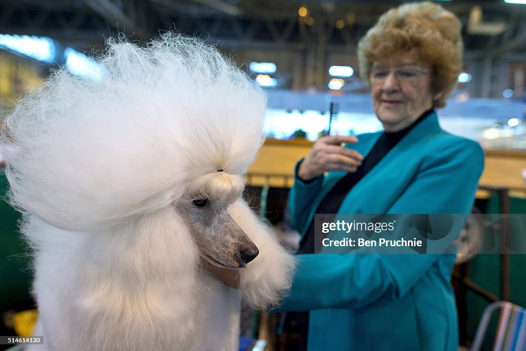 Crufts Dog Show 2016 - Day One