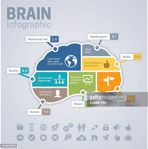 brain infographic concept - brain diagram colour stock illustrations